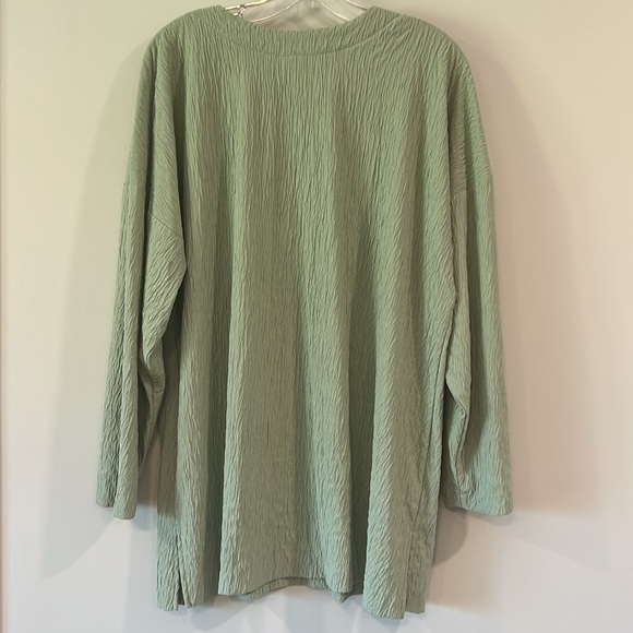 Vintage Charleston Rags - 1x, Sage Green V-Neck Long Sleeve Top - Picture 4 of 5